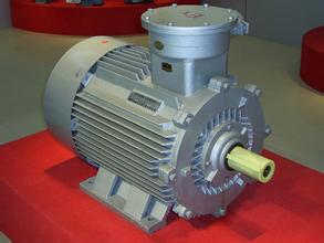 Explosion-proof motors